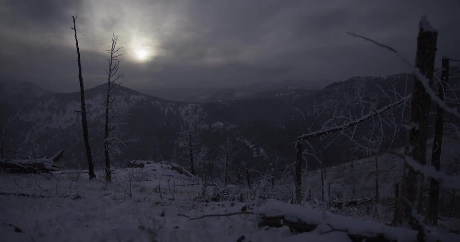 A desolate, fire-ravaged mountain forest is covered in a blanket of snow on a gloomy winter day as the camera slowly dollies