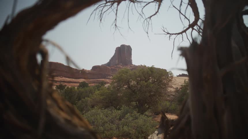 A slow dolly out reveals a majestic red rock butte in the vast desert, framed by the gnarled branches of a tree