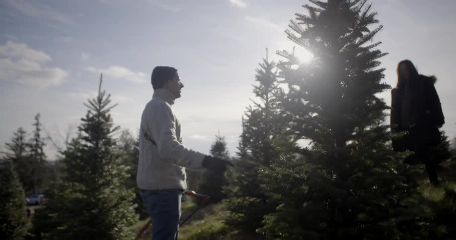 Man and woman walk around looking for a pine tree to cut down