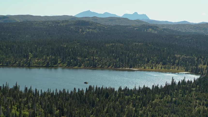 A vast evergreen forest surrounds a glittering lake, with distant mountains visible on the horizon under a clear sky