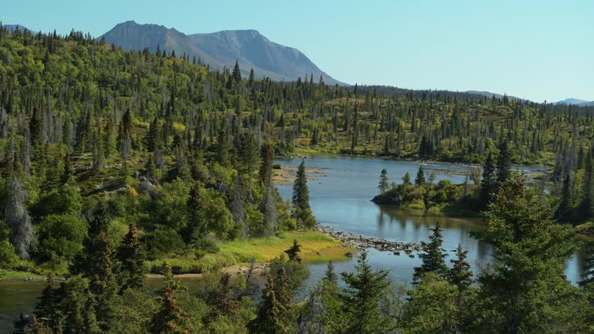A slow push-in shot reveals a pristine river flowing through a vast boreal forest with majestic mountains in the distance