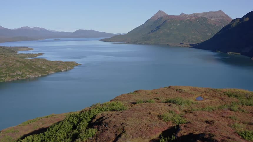 Flying over a vibrant, colorful autumn hill reveals the stunning vista of a massive, calm lake surrounded by mountains
