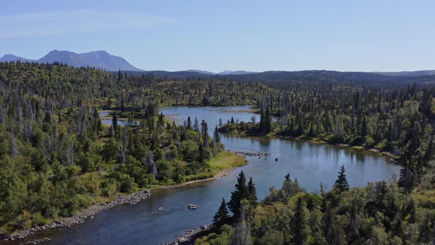 An inspiring aerial reveal shot rises over a dense evergreen forest to unveil a pristine river and lake system in a vast wilderness valley