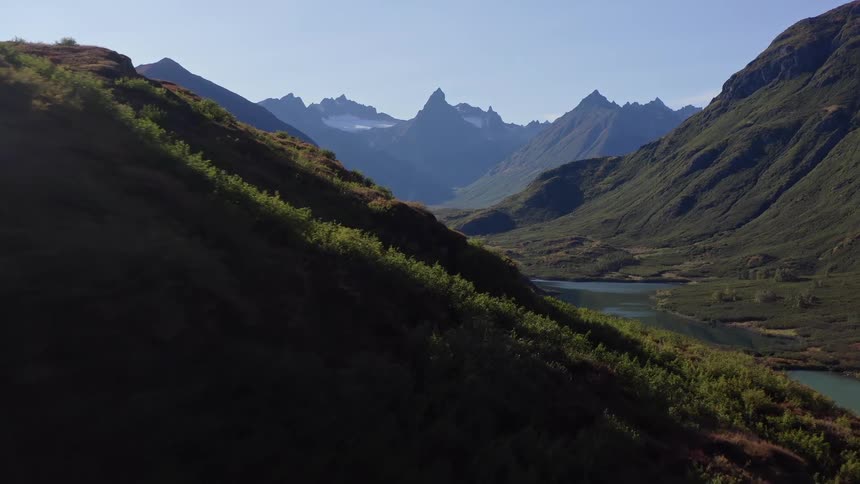 A majestic aerial shot reveals a wild brown bear walking along a lush mountainside above a tranquil lake in a vast Alaskan valley