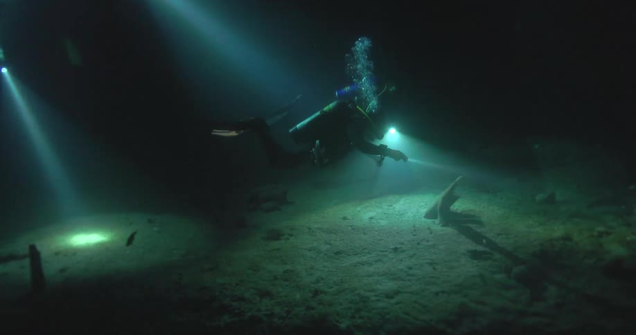 Scuba divers explore the dark depths of a mysterious underwater cave illuminated only by the beams of their flashlights