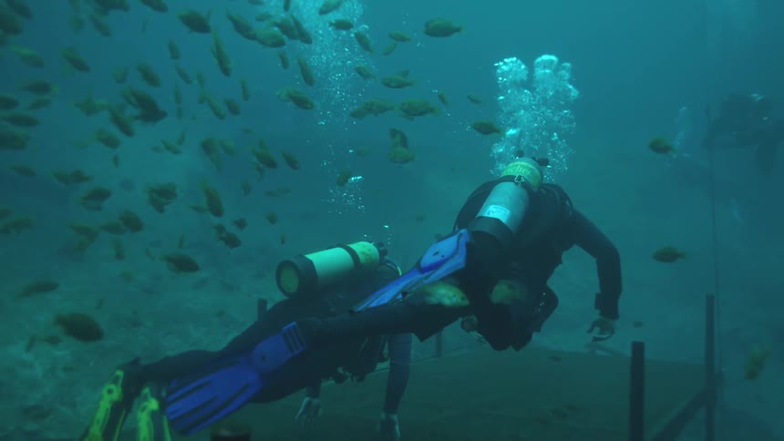 A pair of scuba divers swim in slow motion through a large school of fish in the deep blue sea