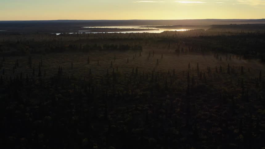 An expansive aerial view shows a vast, dense forest with a light mist as the golden sun rises on the horizon over a distant lake