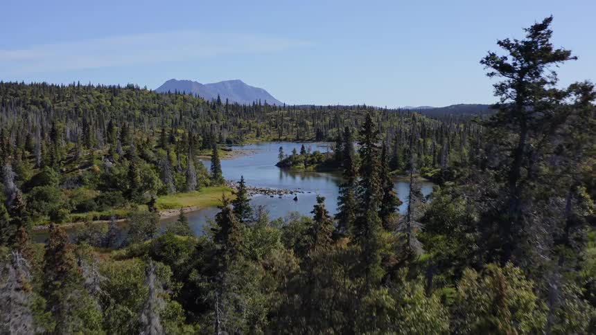 An aerial view slowly glides over a dense forest to reveal a beautiful river valley with mountains in the distance