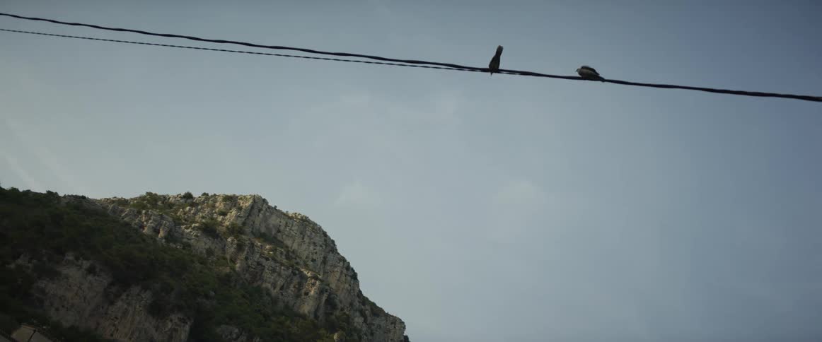 A pair of playful birds dance on a wire against a backdrop of a majestic rocky mountain and a clear sky