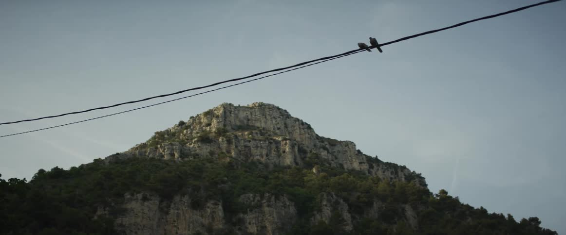 A serene view of two birds perched on a power line in front of a rugged, tree-covered mountain under a clear sky