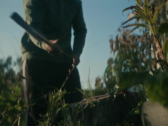 A man splits a log with a powerful swing of an axe in a sunny garden, captured in dramatic slow motion