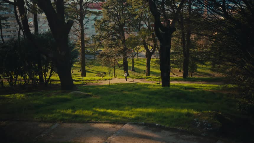 A person enjoys a peaceful walk with their dog on a path through a sunlit urban park