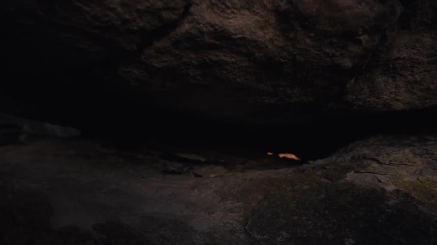 A white ermine darts through a dark, rocky crevice at night