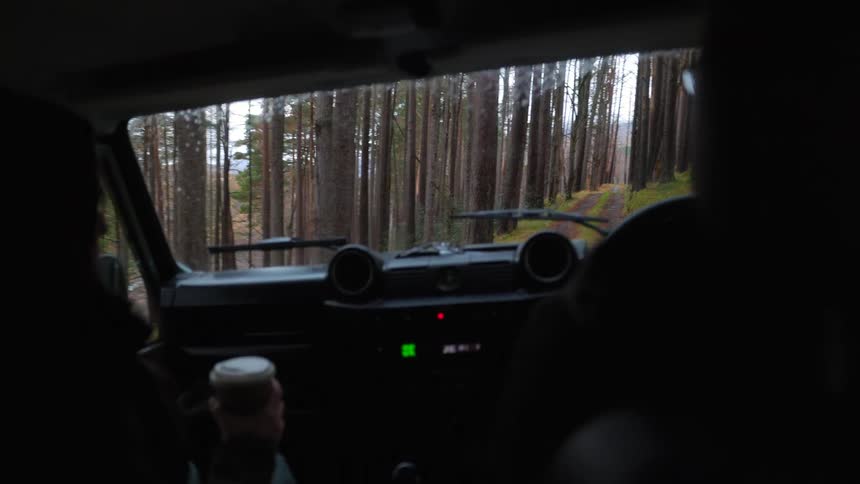 An interior point of view from a 4x4 vehicle slowly navigating a dirt road through a dense, mossy pine forest
