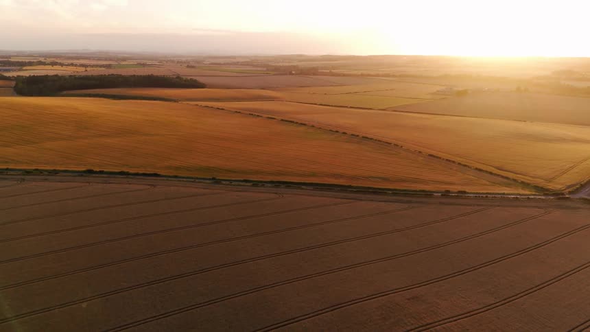 A breathtaking aerial view of expansive golden wheat fields illuminated by the warm glow of the setting sun