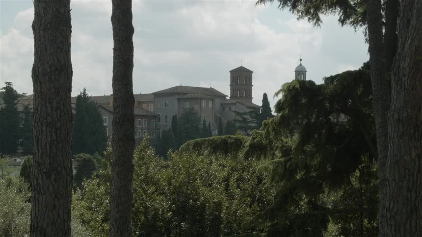 Trees and shrubs are shown with buildings in the distance