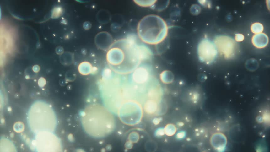 Glowing ethereal orbs and twinkling particles drift in an abstract bokeh background