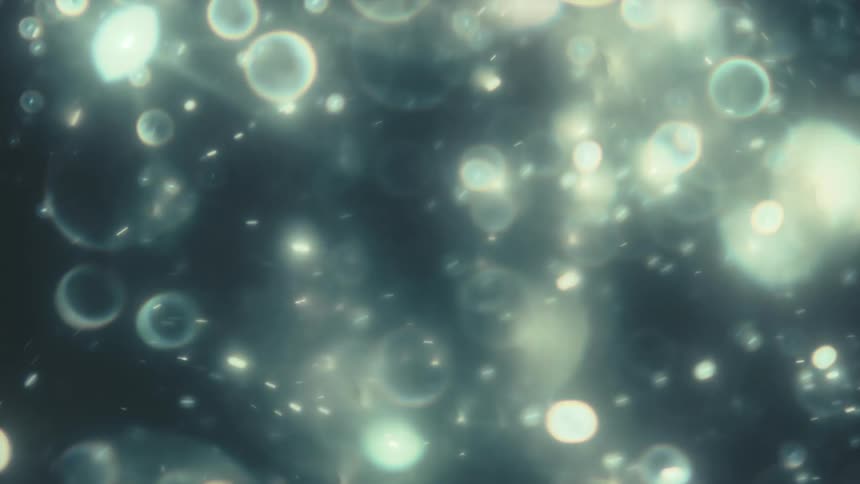 Abstract glowing bokeh particles and bubbles float serenely in a magical, looping animation