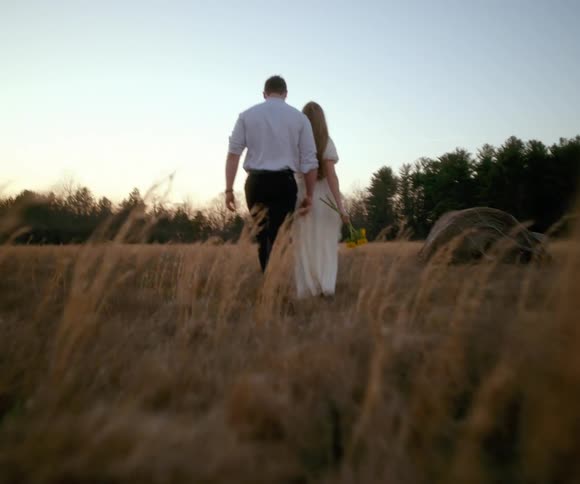 A romantic couple strolls hand in hand through a golden field at dusk
