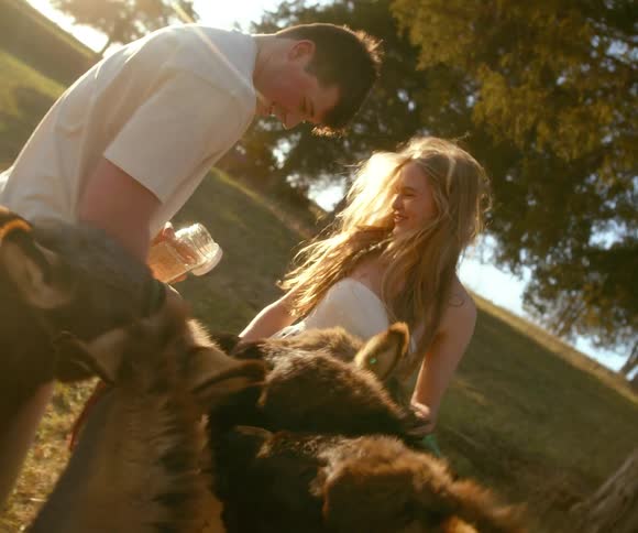 A happy young couple smiles while feeding small donkeys in a grassy field during a beautiful golden hour sunset