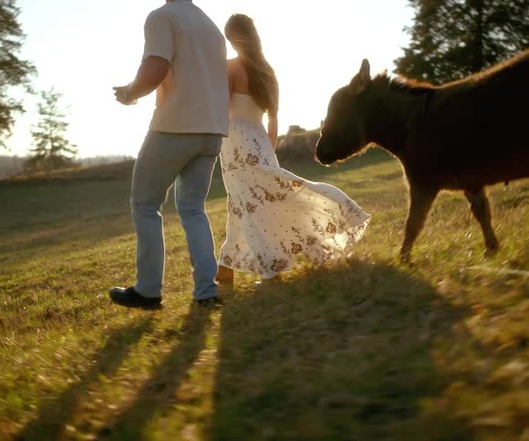 A couple walks with a miniature horse through a grassy field at sunset, bathed in golden light