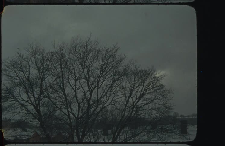 Archival footage shows a bare tree silhouetted against a dark, cloudy winter sky with snow on the ground
