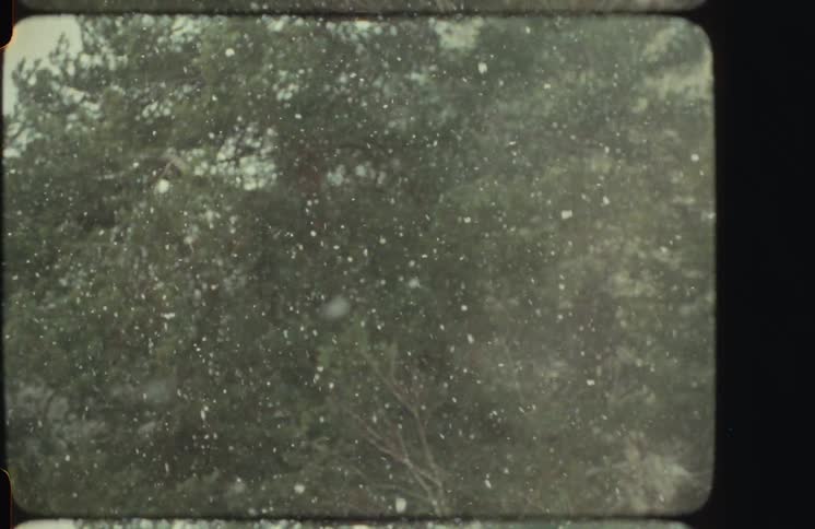 Vintage 8mm film footage captures a tranquil scene of snow falling in slow motion against a backdrop of dense evergreen trees