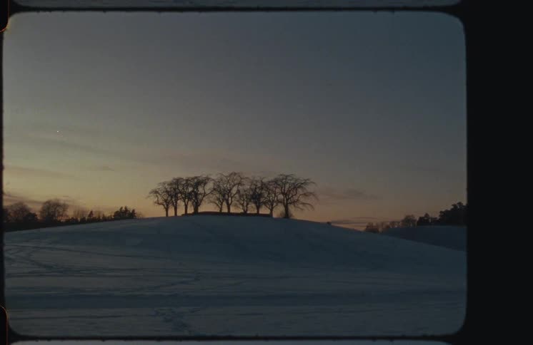 A serene vintage film shot captures the silhouette of a grove of bare trees on a snowy hill during a quiet winter twilight