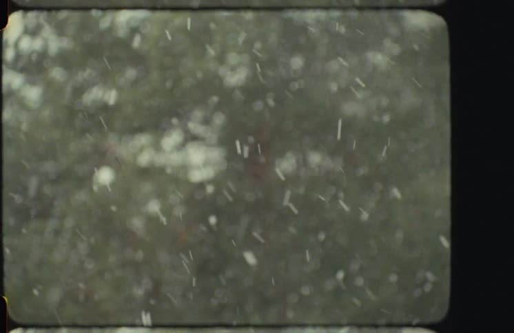 An out-of-focus vintage film captures the gentle fall of snow against a blurred forest background