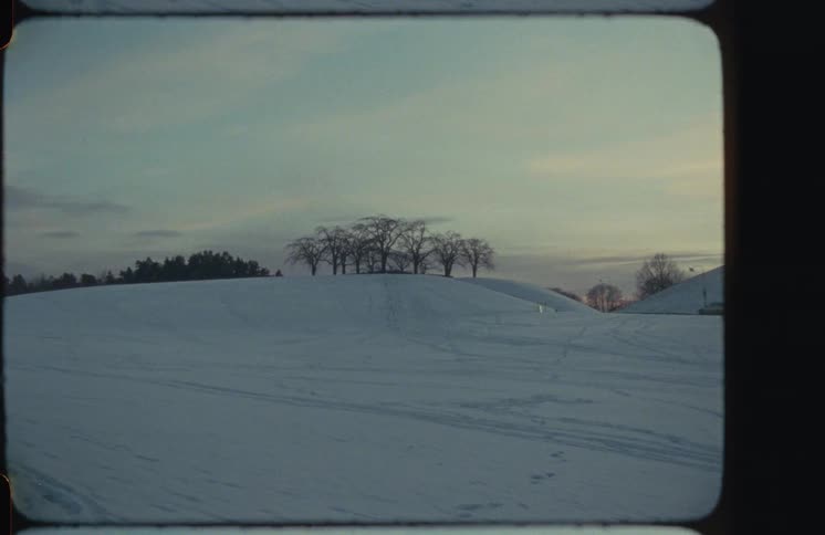 A serene, snowy hill topped with a cluster of bare trees is captured on vintage film at dusk