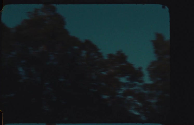 Moody vintage film captures silhouetted pine trees passing by against a dark evening sky