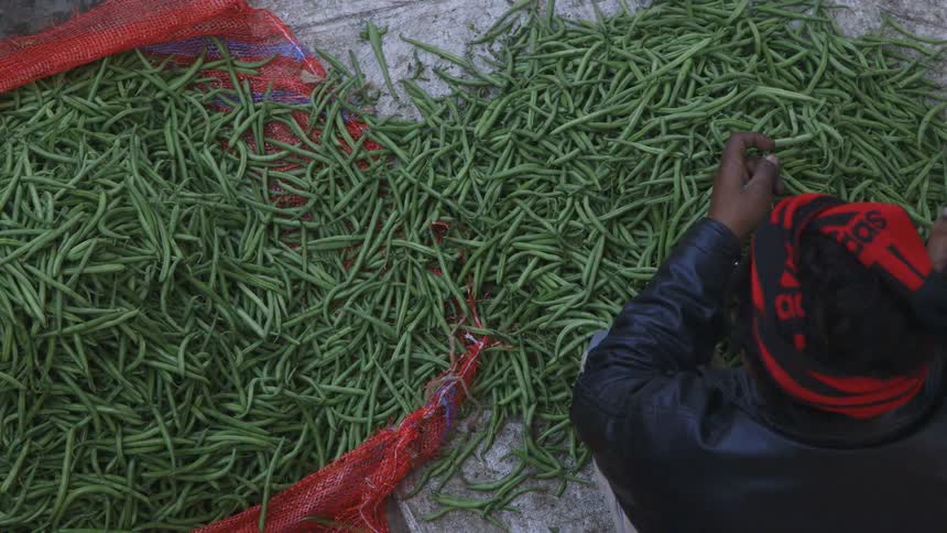 Man sorts vegetables in a market as another looks on