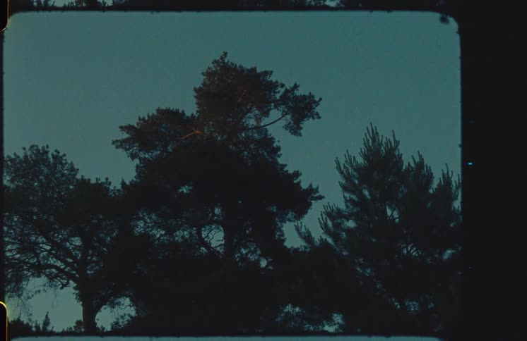 Silhouetted trees stand against a dark twilight sky in a vintage 8mm film shot