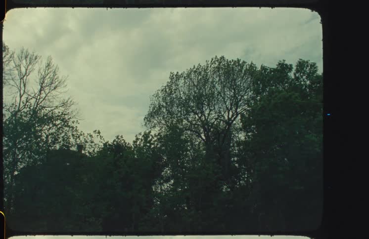 Vintage 8mm footage of trees gently blowing in the wind under a cloudy, overcast sky