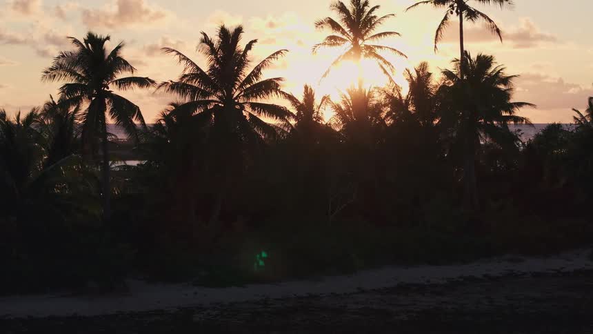 A slow aerial pullback reveals silhouetted palm trees on a tranquil tropical beach during a beautiful golden sunset