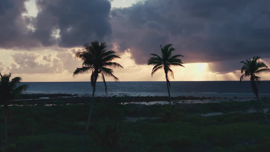 Sun rays pierce through stormy clouds at sunset over a tropical beach with silhouetted palm trees