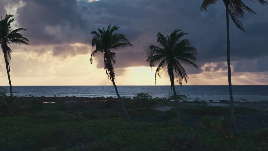 Palm trees are silhouetted on a tropical coastline as dramatic sun rays break through dark clouds over the ocean at sunset