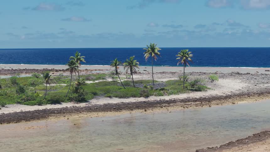 A serene wide shot captures a small, remote tropical island with swaying palm trees, separating a calm lagoon from the vast deep blue ocean