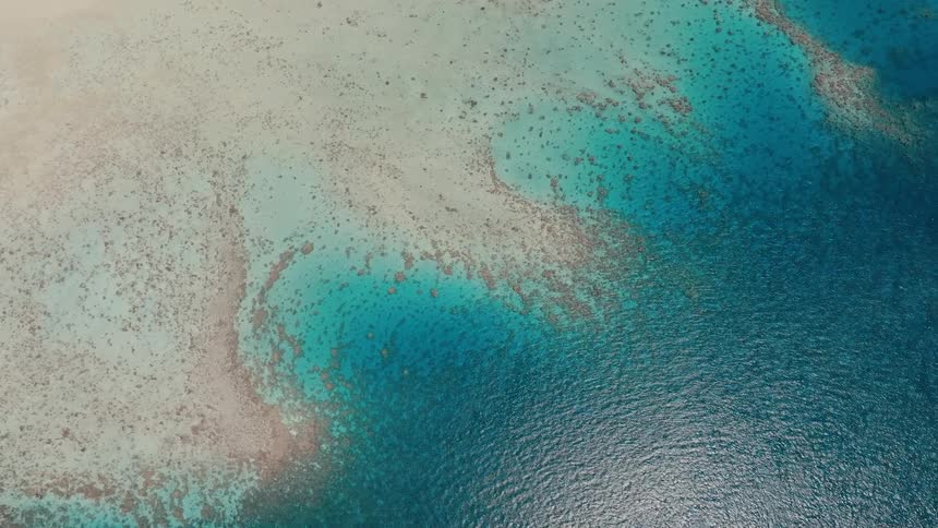 A serene top-down aerial view of a vibrant coral reef meeting the deep blue ocean
