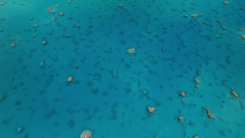 Aerial view of a serene turquoise ocean with scattered coral reefs below the surface