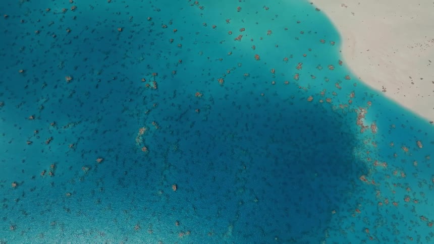 A stunning top-down aerial view captures the contrast between the vibrant turquoise ocean and a pristine white sand beach