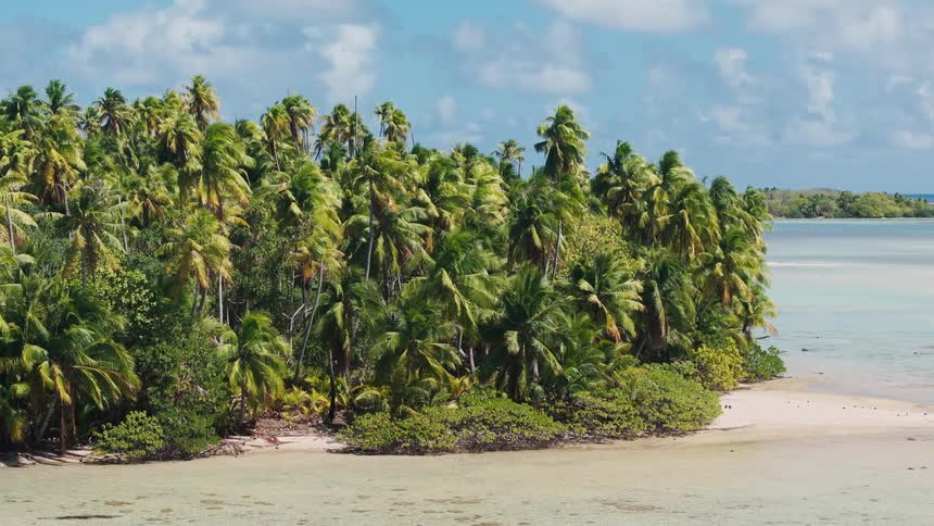 Lush green palm trees sway in the breeze on a remote tropical island in a tranquil, shallow turquoise lagoon