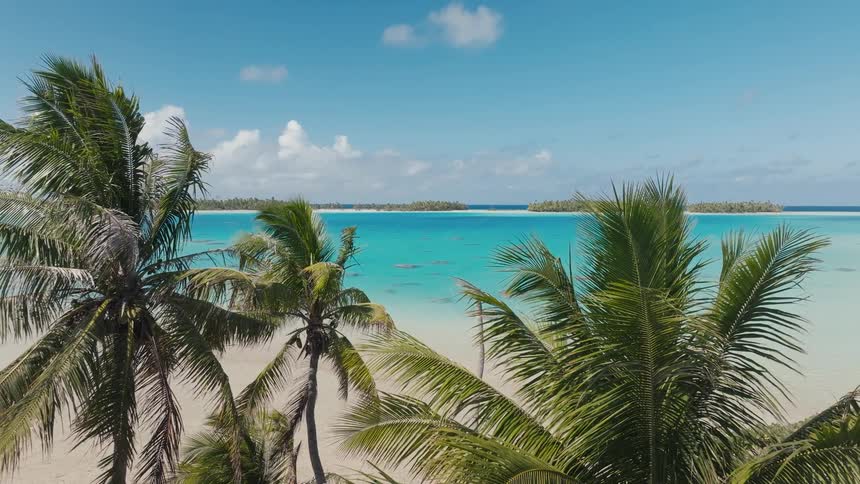 Palm trees sway gently in the breeze on a white sand beach overlooking a breathtaking turquoise blue lagoon and distant tropical islands