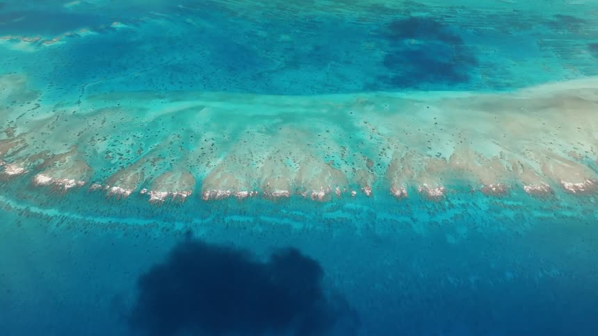 A high-angle aerial shot reveals a stunning coral reef just below the surface of the calm, turquoise tropical ocean