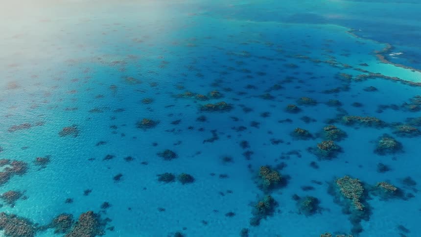 A stunning aerial view captures the vibrant coral reef formations visible through the calm, crystal-clear turquoise ocean water