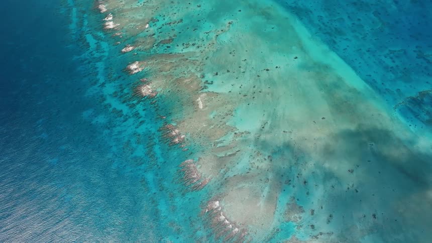 A static aerial view captures the mesmerizing patterns of a coral reef beneath the calm, crystal-clear turquoise sea