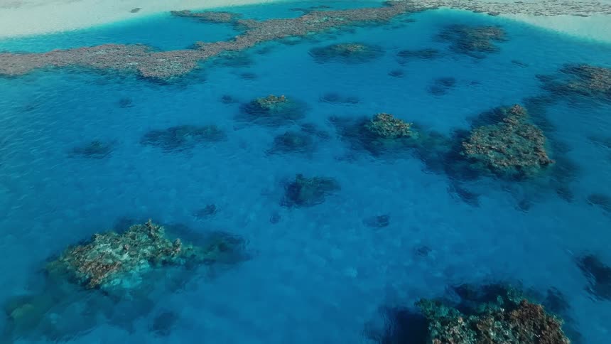 A stunning aerial view flies over a beautiful coral reef system surrounded by calm, crystal-clear blue and turquoise ocean waters