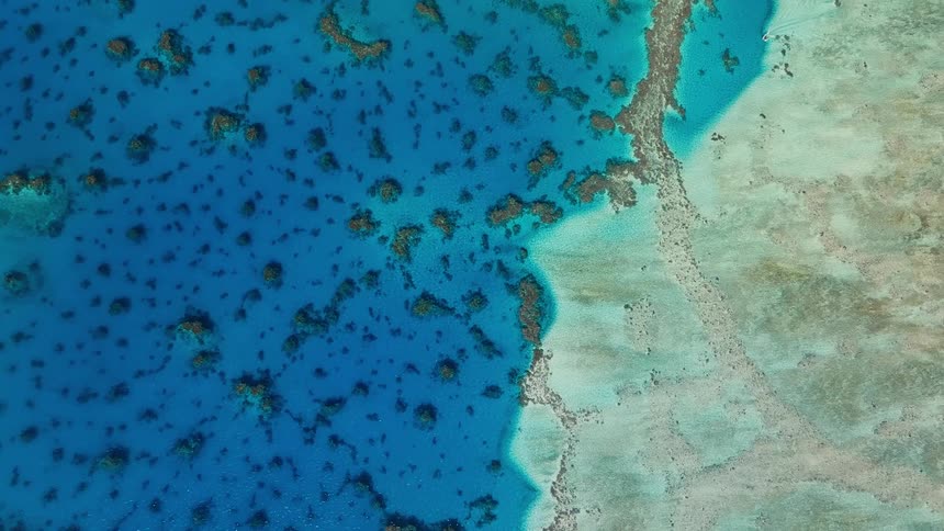 A stunning top-down aerial view of a tranquil coral reef showcasing the beautiful contrast between deep blue and shallow turquoise ocean water