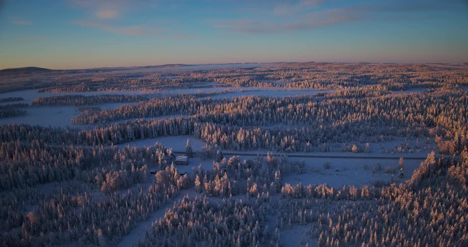 Aerial pull-back shot over a vast, frosty evergreen forest with a remote road and cabin during a colorful winter sunrise