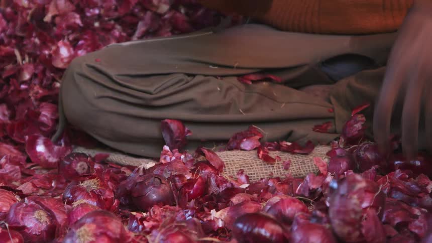 Person sitting and sorting red onions